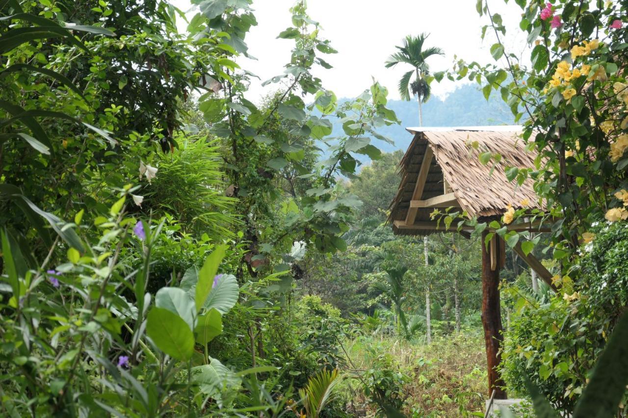 Sumatra Orangutan Discovery Villa Букит-Лаванг Экстерьер фото